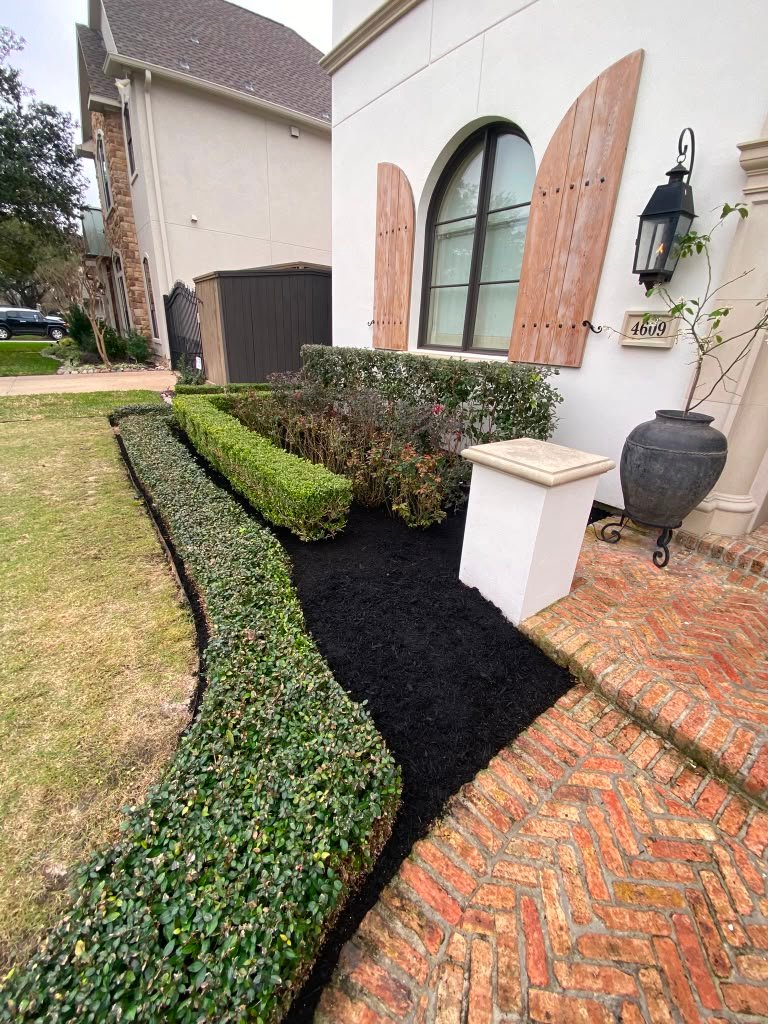 Finished shrub and hedge trimming service by Rainlandscaping